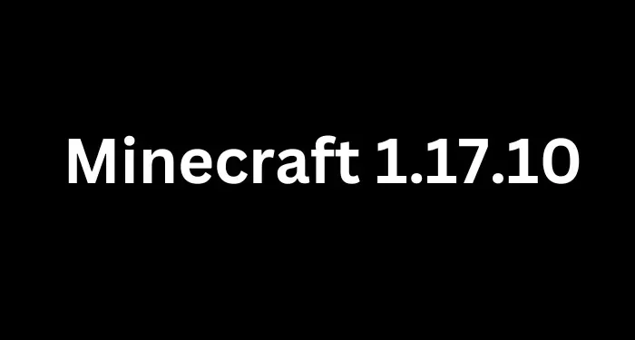 minecraft 1.17.10 download