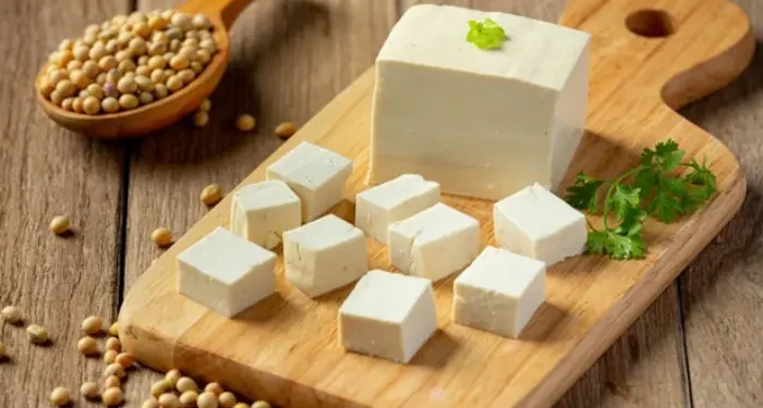 Indian Paneer Recipes