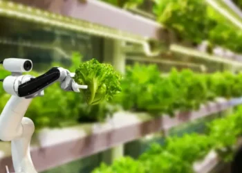 7 Best Crops to Grow in Vertical Farming Systems