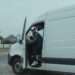 Professional Car Shipping Services